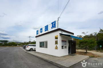 경주 버드파크 여행 추천 - 메고지고