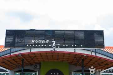 다이나믹 메이즈 제주 여행 추천 - 메고지고