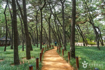 포항해상공원 캐릭터테마파크 여행 추천 - 메고지고