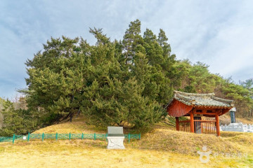 송학서원 여행 추천 - 메고지고
