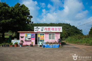 이상한나라의 앨리스 여행 추천 - 메고지고