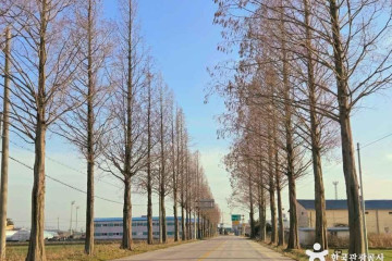 삼불암(김제) 여행 추천 - 메고지고