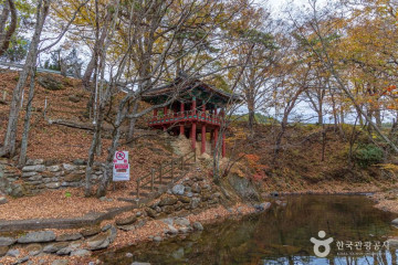 신의연효자각 여행 추천 - 메고지고