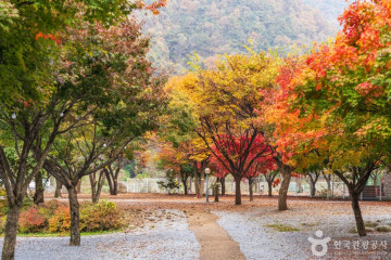 용하구곡 여행 추천 - 메고지고
