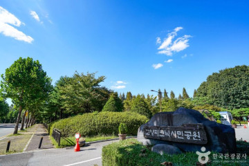 선인장다육식물연구소(구 선인장연구소) 여행 추천 - 메고지고