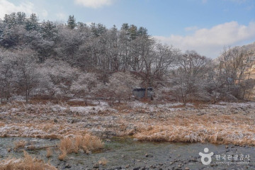 디파트글램핑장 여행 추천 - 메고지고