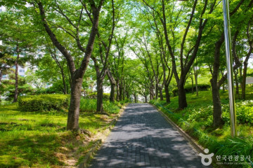 소래빛도서관 여행 추천 - 메고지고