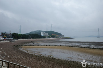 대부도바다낚시터 여행 추천 - 메고지고
