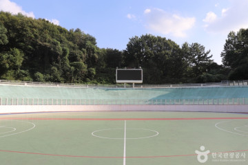펫터테인먼트 여행 추천 - 메고지고