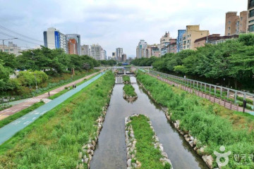 은평문화예술회관 여행 추천 - 메고지고