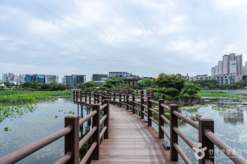 중앙호수공원 카페거리 여행 추천 - 메고지고
