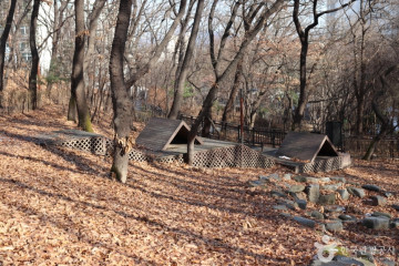 초안산 여행 추천 - 메고지고