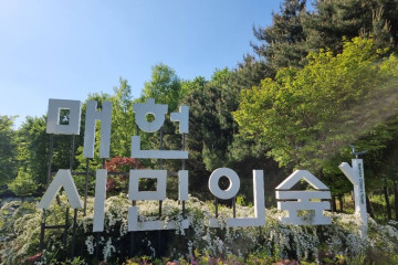 탄허기념불교박물관 여행 추천 - 메고지고