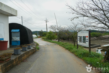 팔봉산(서산) 여행 추천 - 메고지고