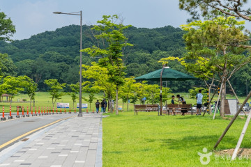 롤킹롤러스케이트장 여행 추천 - 메고지고