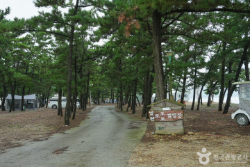 황금산 여행 추천 - 메고지고