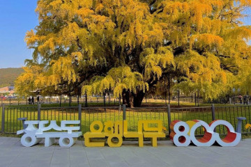 인천승마공원 여행 추천 - 메고지고