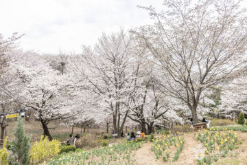 홍제천인공폭포 여행 추천 - 메고지고
