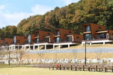골드펫리조트 여행 추천 - 메고지고