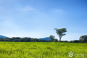 제주 센트럴파크 여행 추천 - 메고지고