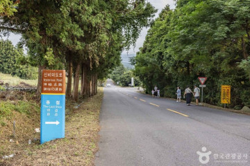 제주러브랜드 여행 추천 - 메고지고