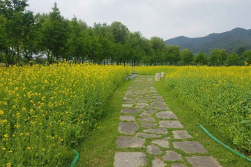 파로호(양구) 여행 추천 - 메고지고