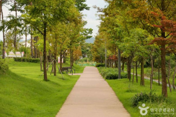 용화사(대전) 여행 추천 - 메고지고
