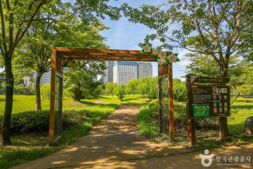 보라매공원(대전) 여행 추천 - 메고지고