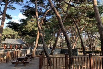 서울특별시교육청 도봉도서관 여행 추천 - 메고지고