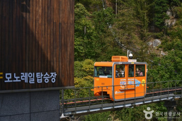 대봉산자연휴양림 여행 추천 - 메고지고