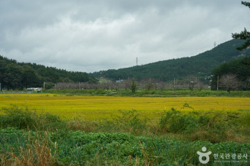 이원반도 여행 추천 - 메고지고