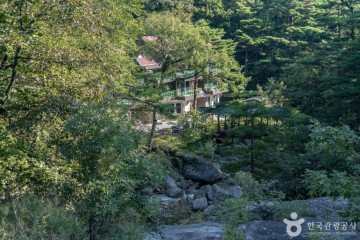 신사임당사친시비 여행 추천 - 메고지고