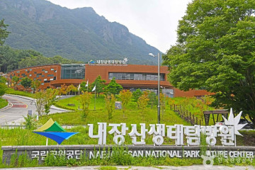 갑오동학혁명 100주년 기념탑 여행 추천 - 메고지고