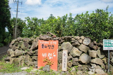 동백동산 여행 추천 - 메고지고