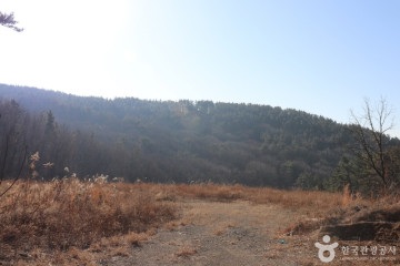 힐링빌리지 여행 추천 - 메고지고