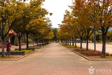 고모역복합문화공간 여행 추천 - 메고지고