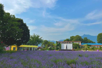 참깨비마을 여행 추천 - 메고지고