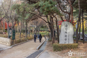 서울 신림동 굴참나무 여행 추천 - 메고지고