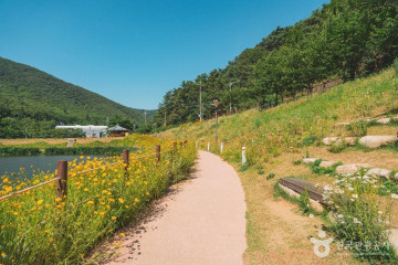 팜다원 여행 추천 - 메고지고