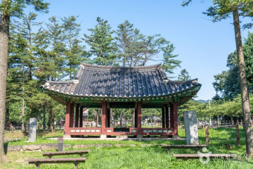 남한산성벚꽃길 여행 추천 - 메고지고