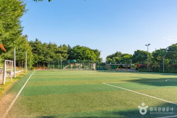 콩콩이자연미술체험장 여행 추천 - 메고지고