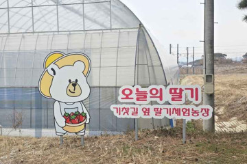 삼세오충렬사 여행 추천 - 메고지고