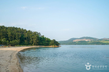 황포해수욕장 여행 추천 - 메고지고