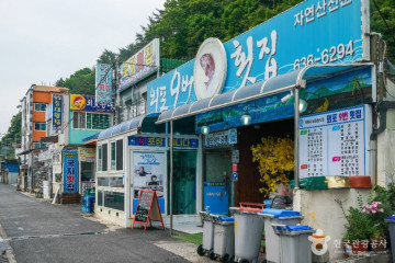 김영삼 전 대통령 생가 여행 추천 - 메고지고