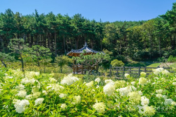 운제산 여행 추천 - 메고지고