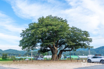 구봉산(대전) 여행 추천 - 메고지고