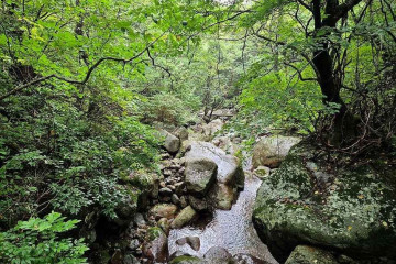 산청 법계사 삼층석탑 여행 추천 - 메고지고