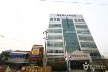 부산여자대학교 차박물관 여행 추천 - 메고지고
