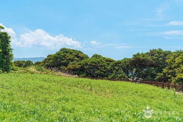 수성당 여행 추천 - 메고지고