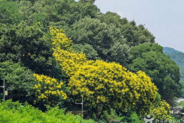 동호서당·동호유적공원 여행 추천 - 메고지고